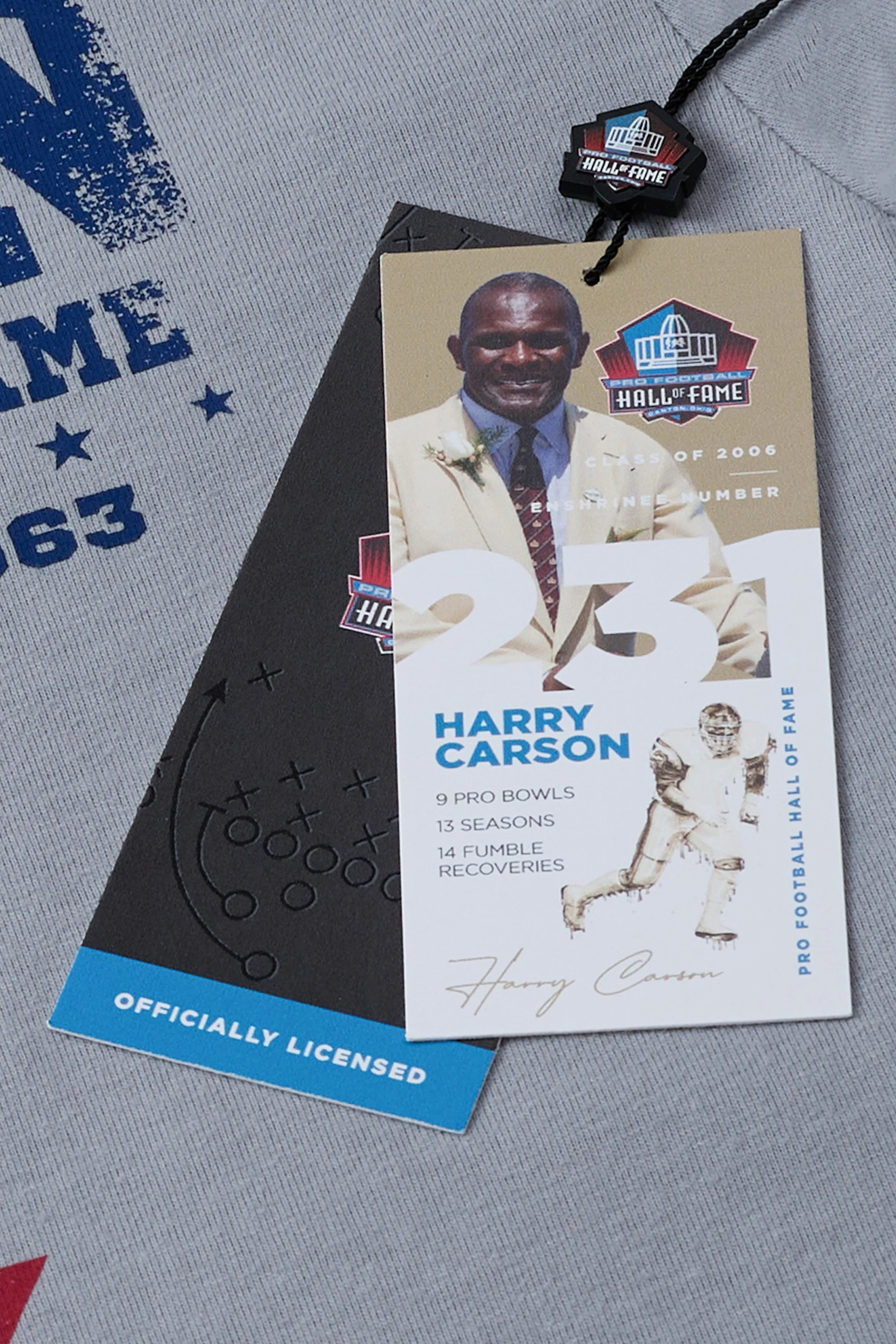Pro Football Hall of Fame X Haggar - Canton Graphic Tee - Image 42