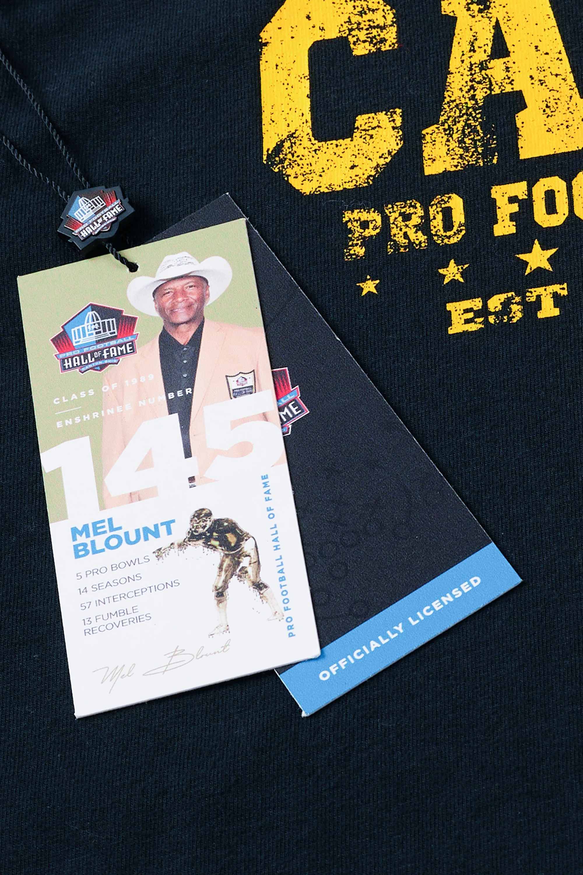 Pro Football Hall of Fame X Haggar - Canton Graphic Tee - Image 82